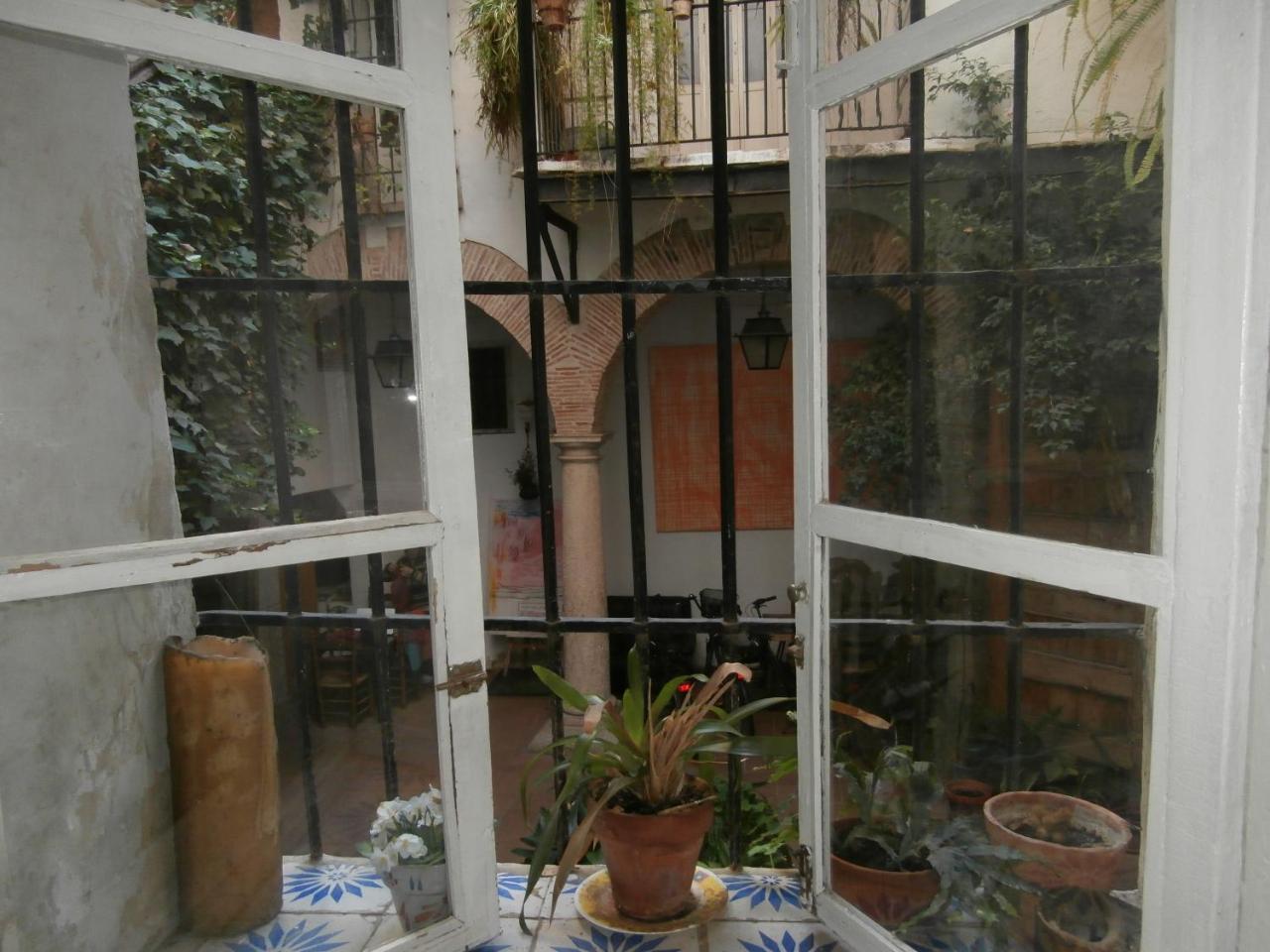 Innsa Valencia Luaran gambar